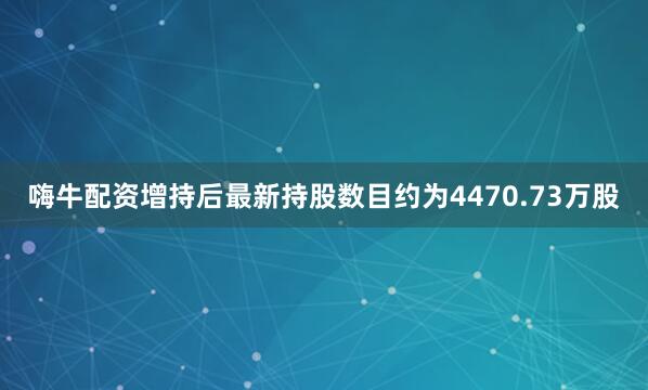 嗨牛配资增持后最新持股数目约为4470.73万股