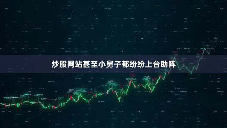 炒股网站甚至小舅子都纷纷上台助阵