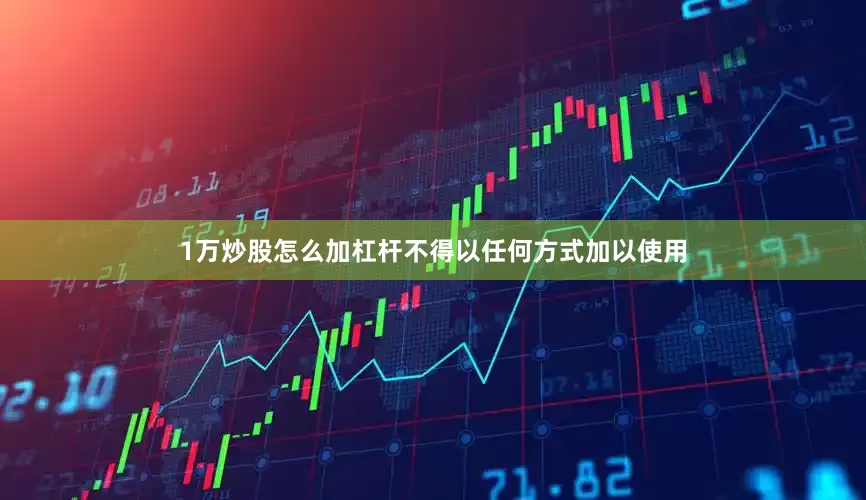 1万炒股怎么加杠杆不得以任何方式加以使用