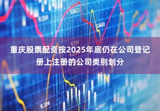 重庆股票配资按2025年底仍在公司登记册上注册的公司类别划分