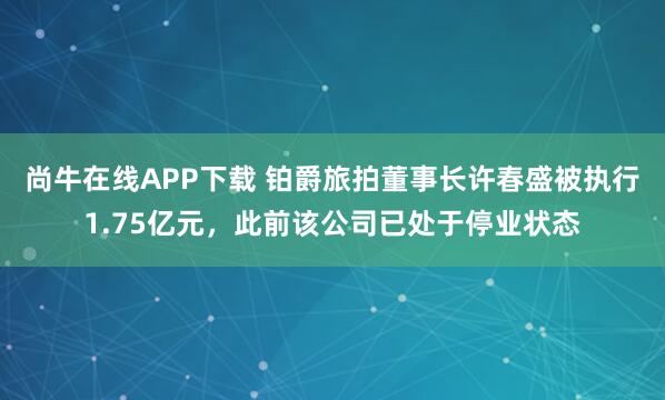 尚牛在线APP下载 铂爵旅拍董事长许春盛被执行1.75亿元，此前该公司已处于停业状态