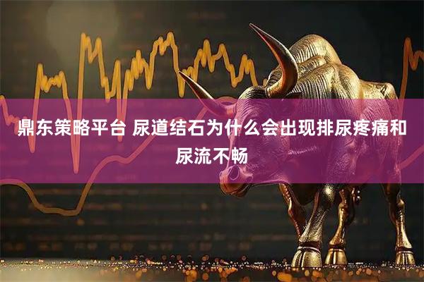 鼎东策略平台 尿道结石为什么会出现排尿疼痛和尿流不畅